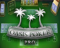 Playtech - игровой автомат онлайн от Various с RTP 95.7%